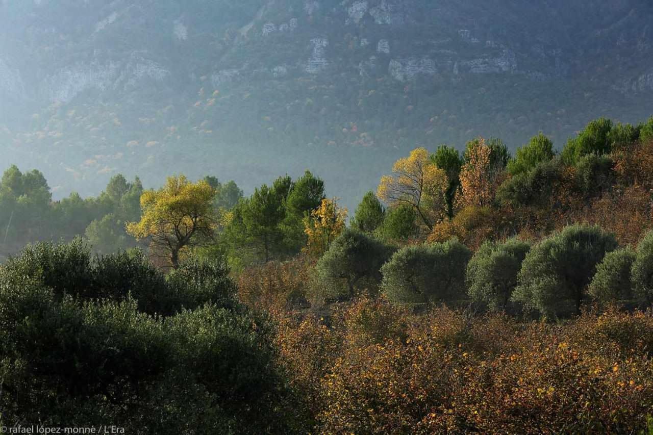 Casa Rural Lera Torre de Fontaubella Екстер'єр фото